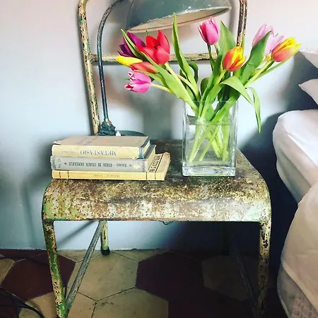 La Casa Di Barbara * Bologna
